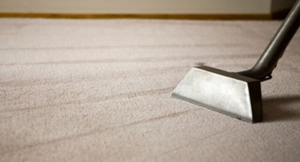Carpet cleaning in progress