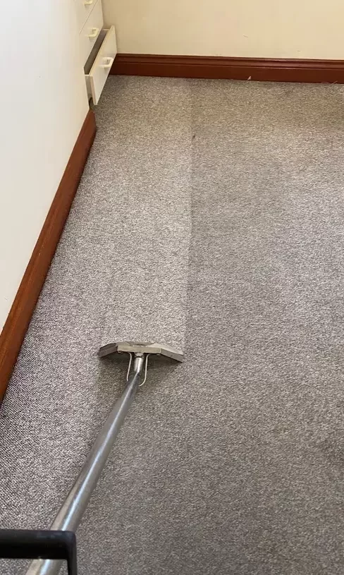 Carpet being steam cleaned by our cleaners